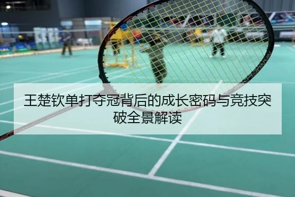 王楚钦单打夺冠背后的成长密码与竞技突破全景解读